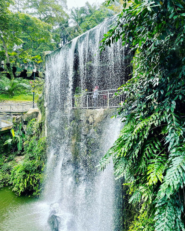 A Feathered Adventure at KL Bird Park 🦚