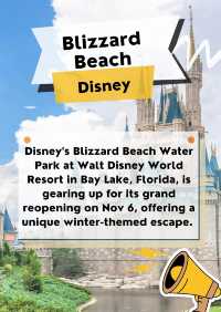 Disney's Blizzard Beach Set to Reopen🌊