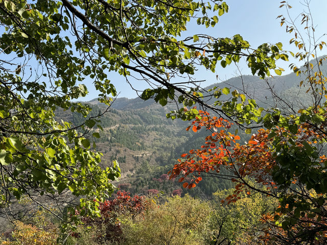 徒步彩石捎近村賞紅葉 徒步彩石捎近村賞紅葉
