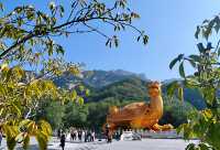 羅山，你的美內斂，聰穎