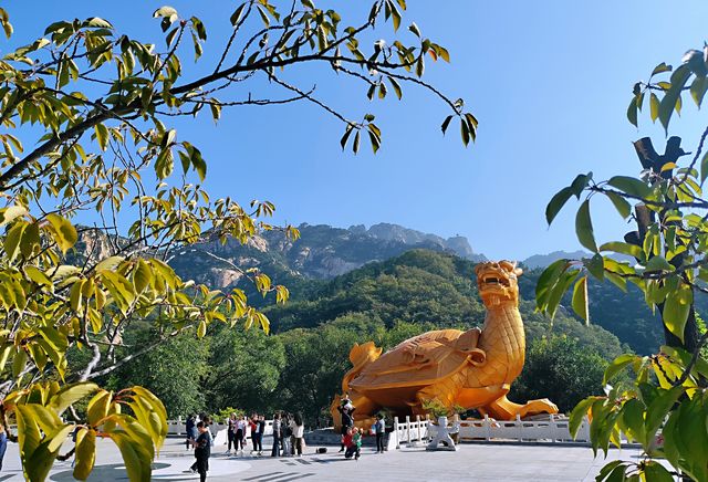 羅山，你的美內斂，聰穎