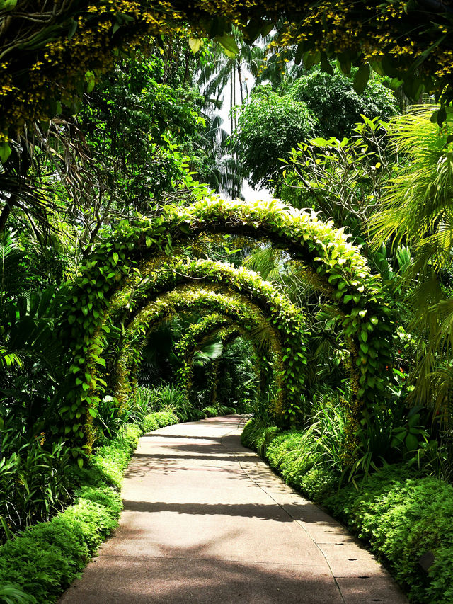 One day at Singapore Botanic Gardens