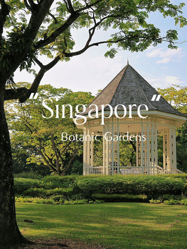 One day at Singapore Botanic Gardens