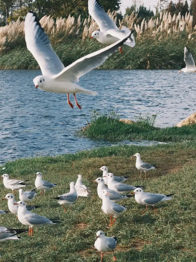 昆明·城市漫步