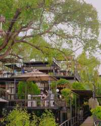 Staying in a tree house 🌿