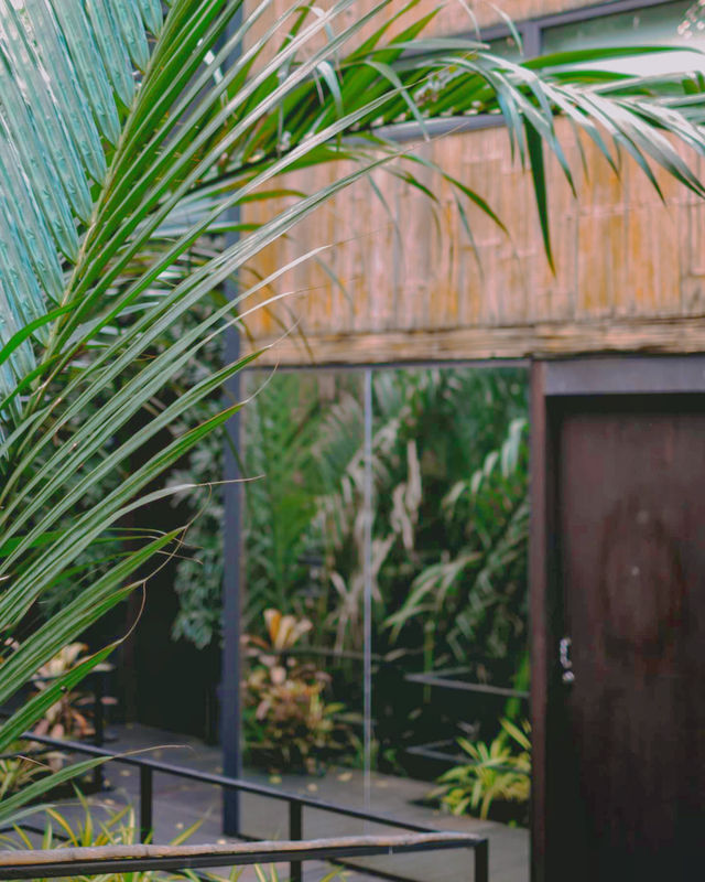 Staying in a tree house 🌿