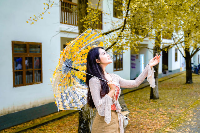 廣東最美秋天！一片金黃的韶關帽子峰美慘了