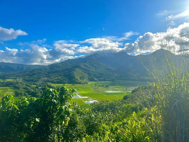 我決定逃離寒冷的城市，來到夏威夷的可愛島，享受一段美好的假日