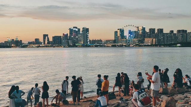 深圳灣紅樹林，大海的懷抱