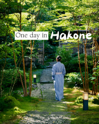 Exploring Hakone in One Day