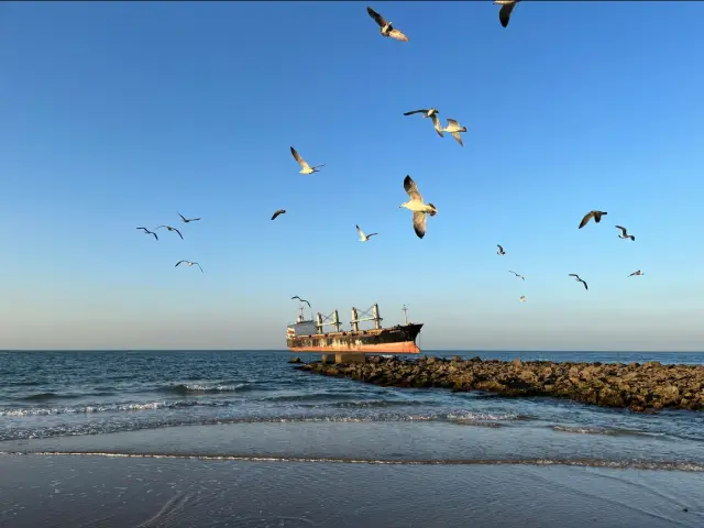 Looking at the sea in Weihai