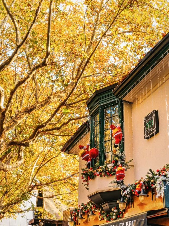 人生建議:12月逛完這些小馬路再離開上海! 人生建議:12月逛完這些小馬路再離開上海!