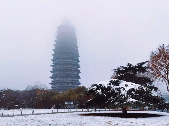 全国シリーズ97 常州 紅梅公園