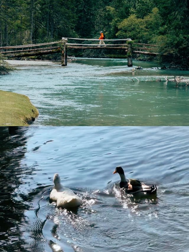 蓮花湖 大氣但不大眾的寶藏地