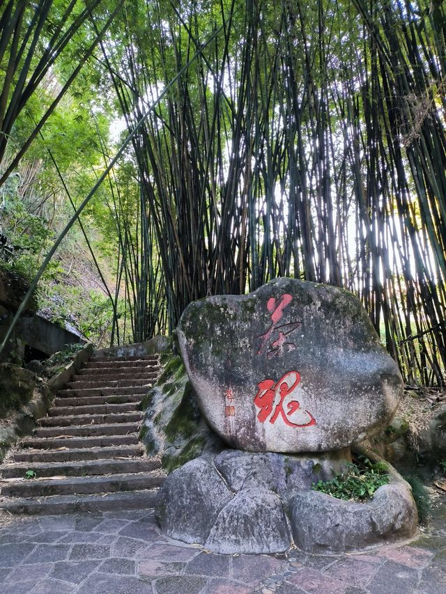 武夷山公交遊第二天—天遊峰