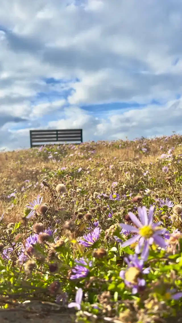 Three days and two nights in Jeju Island