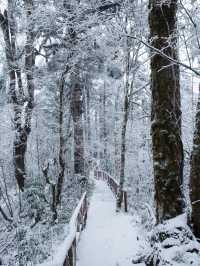 冬日限定雪景安利給每一個有緣人