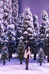 不用去哈爾濱！江浙滬有自己的冰雪大世界