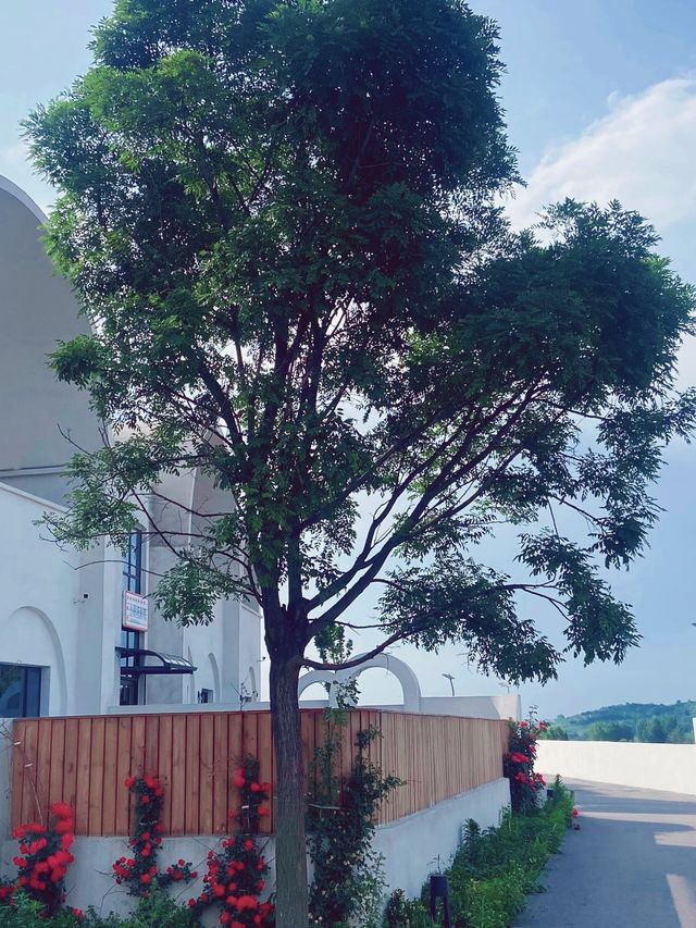 長治民宿潮嶼｜帶娃住進風景裡的民宿終於來了！！