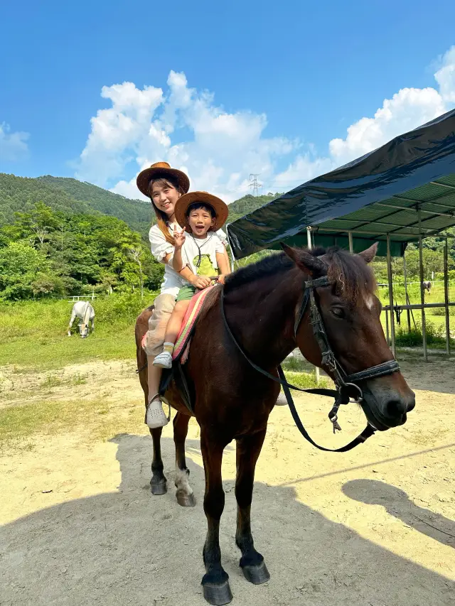 광저우 휴가 놀이 | 캥거루와 가까운 거리에서 상호 작용! 너무 사랑스럽다