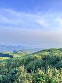 山不來見我 我自會去見山