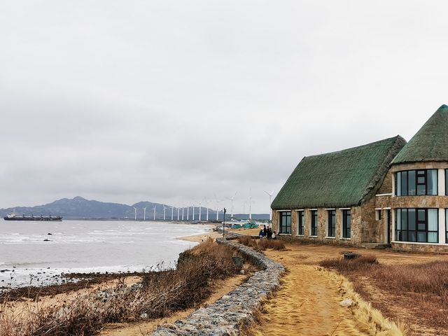 跑到威海看天鹅