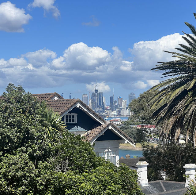 Dormant volcanoes and city views in Auckland!