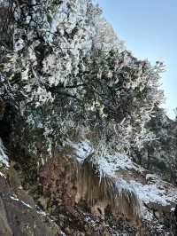 在池州｜山河壯闊，值得奔赴