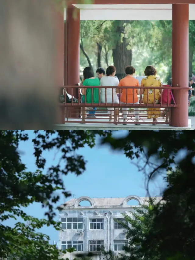 Travel guide to Liaocheng People's Park