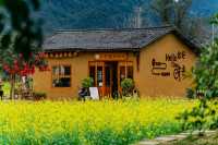 故事的小黄花在桂林的春日開著