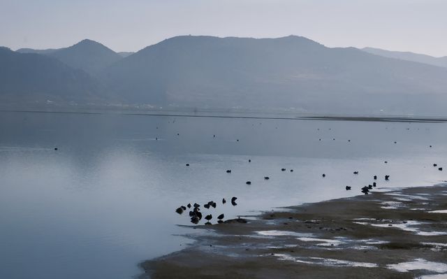 雲南｜納帕海：聖潔之海