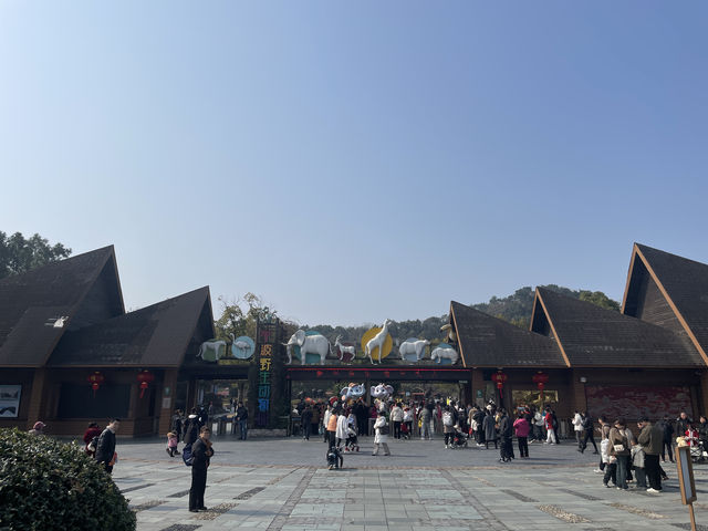 終於帶兒子來寧波野生動物園玩了