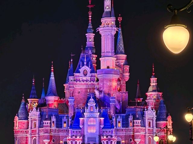 Shanghai Disney Ultimate Guide