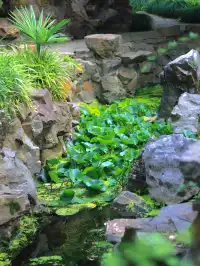 上海浦東隱匿的古典園林，古鐘園