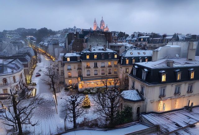 Paris from Above