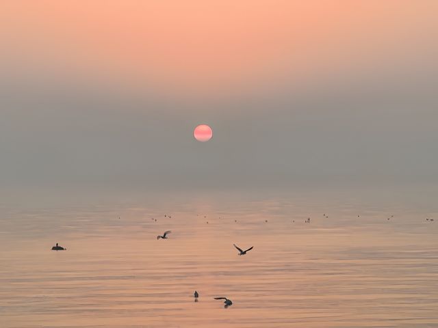 打卡了美麗日照～一個小眾旅遊城市的海邊