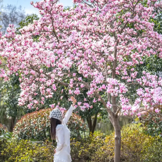 Wuhan, this underrated floral world