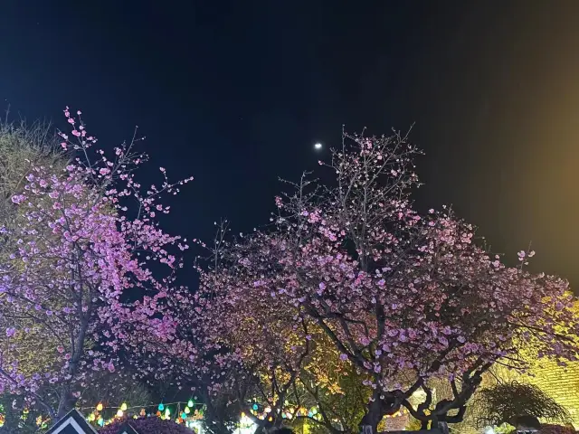 대리 고성‖일일 여행