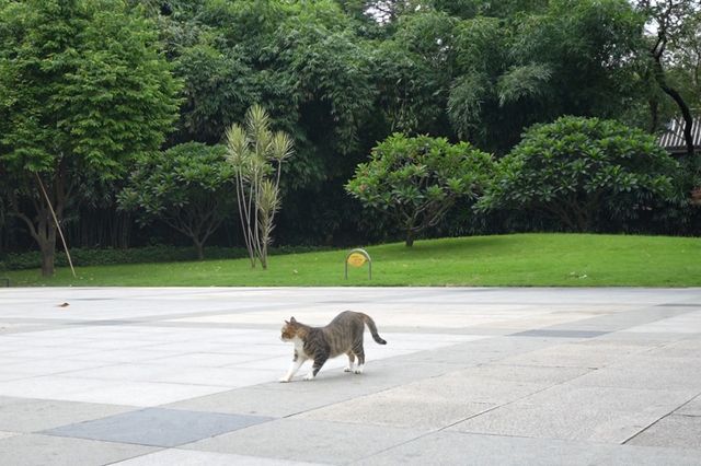 曉港公園對小朋友很友好