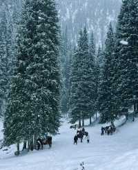 不要再去新疆的禾木了，大家都來烏魯木齊的沙溝騎馬吧