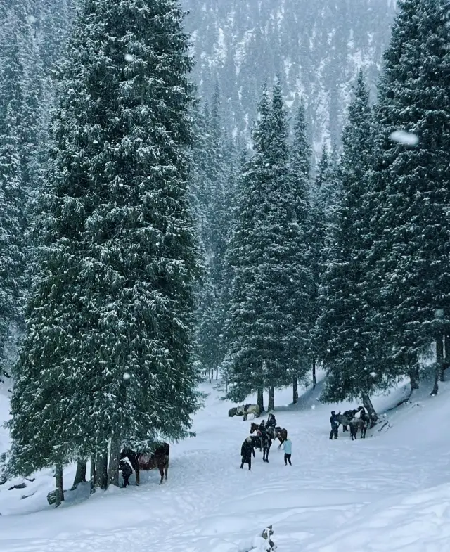 Don't go to Hemu in Xinjiang, come to Urumqi Shagou for horse riding