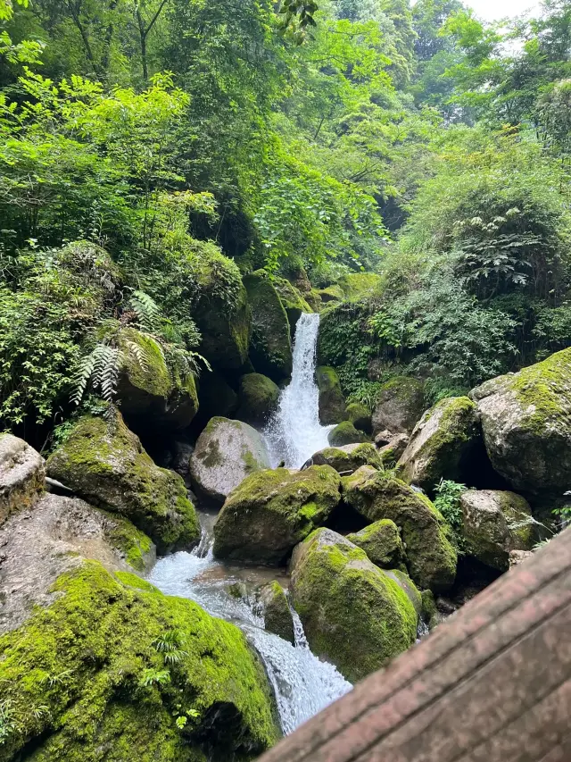 You must visit Qingcheng Mountain at least once during the holiday