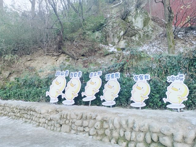 周末探秘：終南山南五台的巔峰誘惑