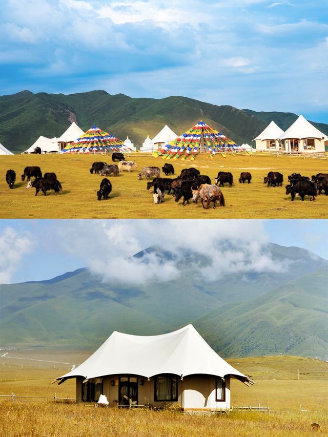 國慶私藏秘境！甘南人少景美，住進野奢牧場