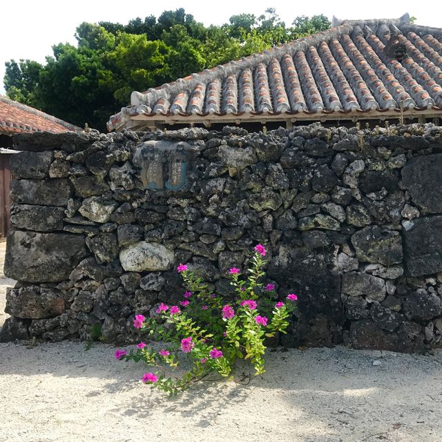 沖繩石垣島之旅，不遺餘力安利這個小眾島