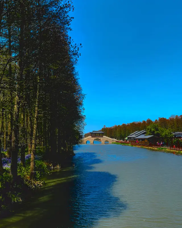 Shanghai Outskirts Tour | Xinghua, Taizhou | Lizhong Water Forest