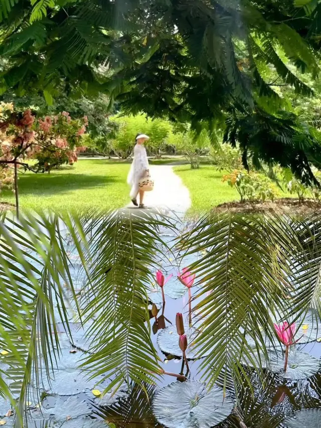 西雙版納【中科植物園】超全攻略太好拍了！