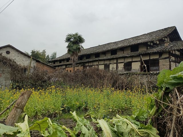 廣西自駕遊（八）