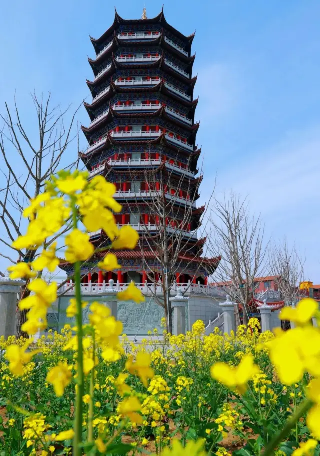 This lesser-known Suzhou 'Little Forbidden City', the Yulan magnolias are in full bloom