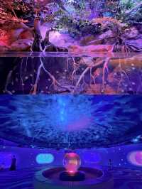 隱於「海夢一方」商場內的「空中海洋館」!